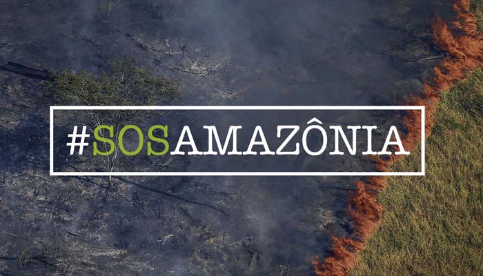 Conheça a importante missão da ONG SOS Amazônia